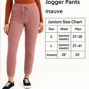 Ultra Flirt Juniors’ Teddy Jogger Pants | Mauve Taupe Fuzzy Lounge Pants L NWT